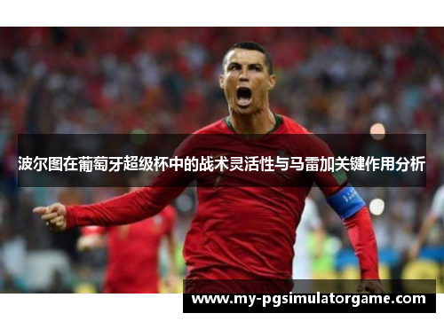 波尔图在葡萄牙超级杯中的战术灵活性与马雷加关键作用分析